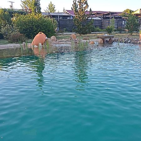 Hotel Albergue Bioclimatico Sabinares Del Arlanza Puentedura Εξωτερικό φωτογραφία