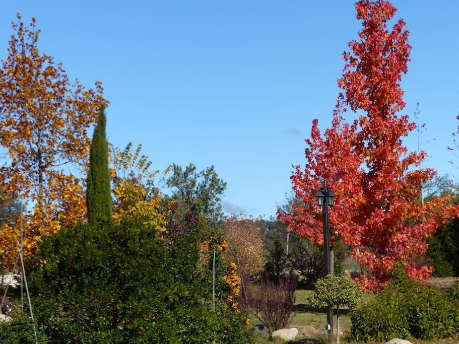 Hotel Albergue Bioclimatico Sabinares Del Arlanza Puentedura Εξωτερικό φωτογραφία