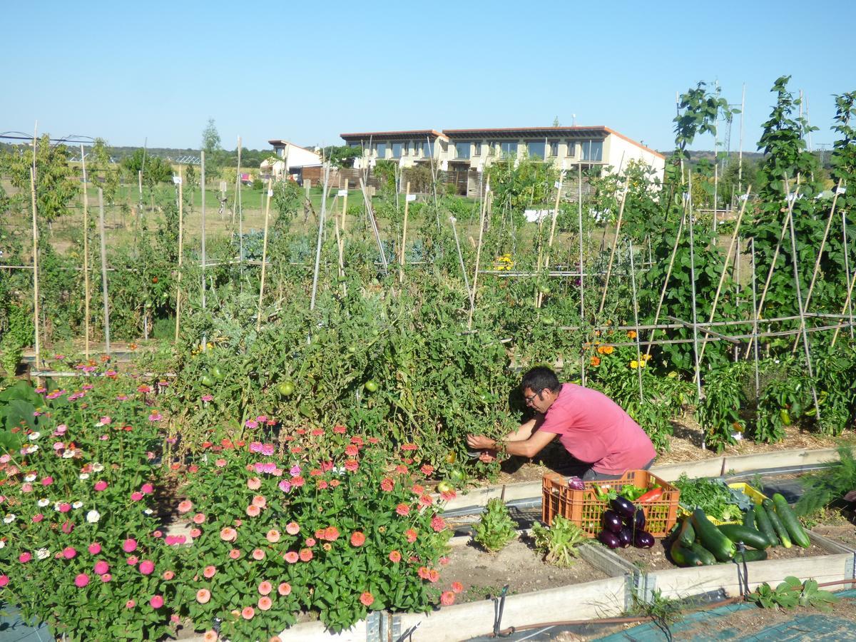 Hotel Albergue Bioclimatico Sabinares Del Arlanza Puentedura Εξωτερικό φωτογραφία