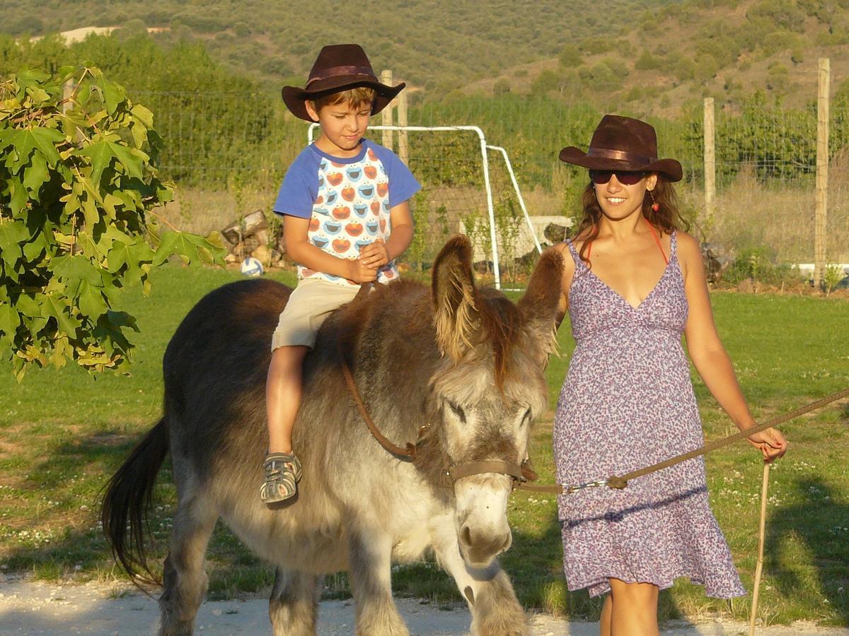 Hotel Albergue Bioclimatico Sabinares Del Arlanza Puentedura Εξωτερικό φωτογραφία