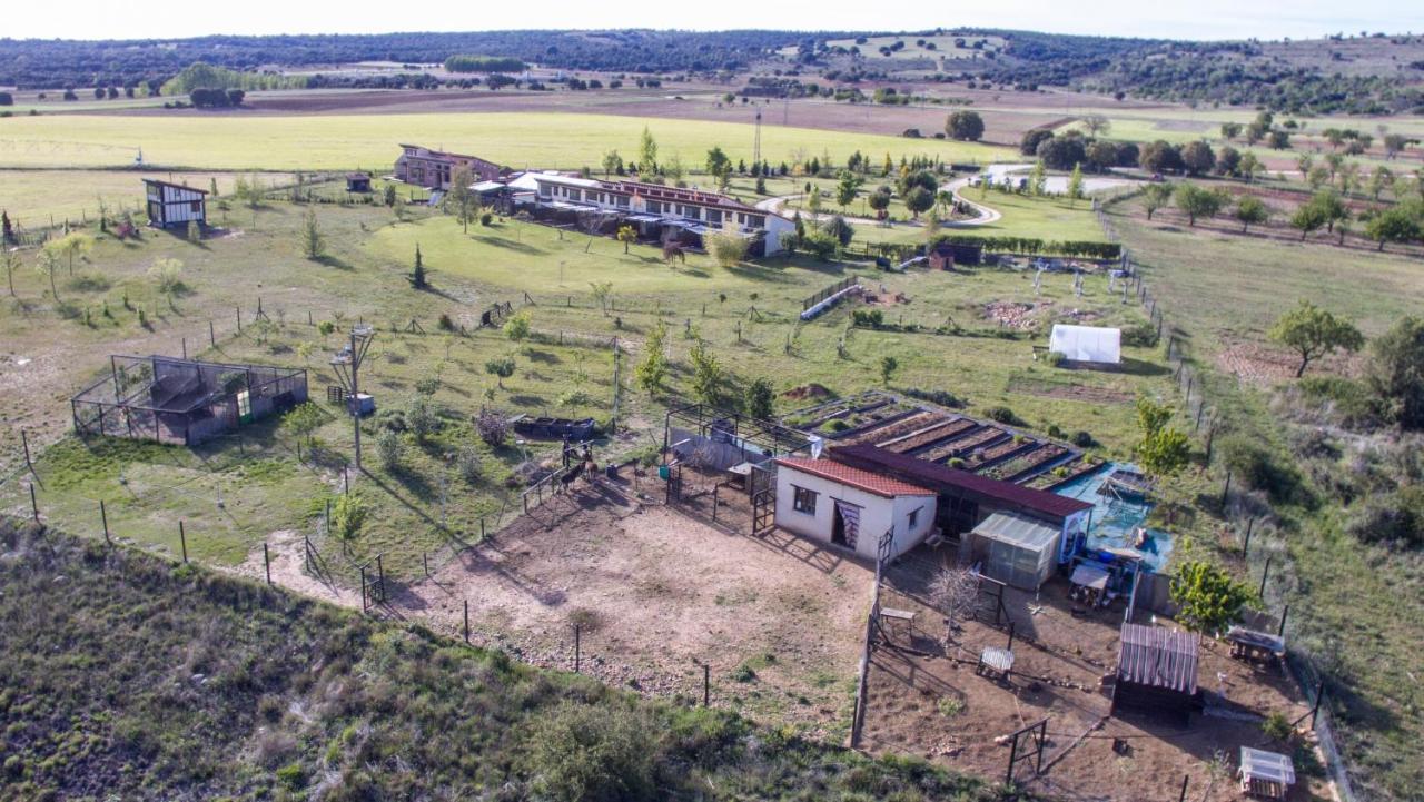 Hotel Albergue Bioclimatico Sabinares Del Arlanza Puentedura Εξωτερικό φωτογραφία