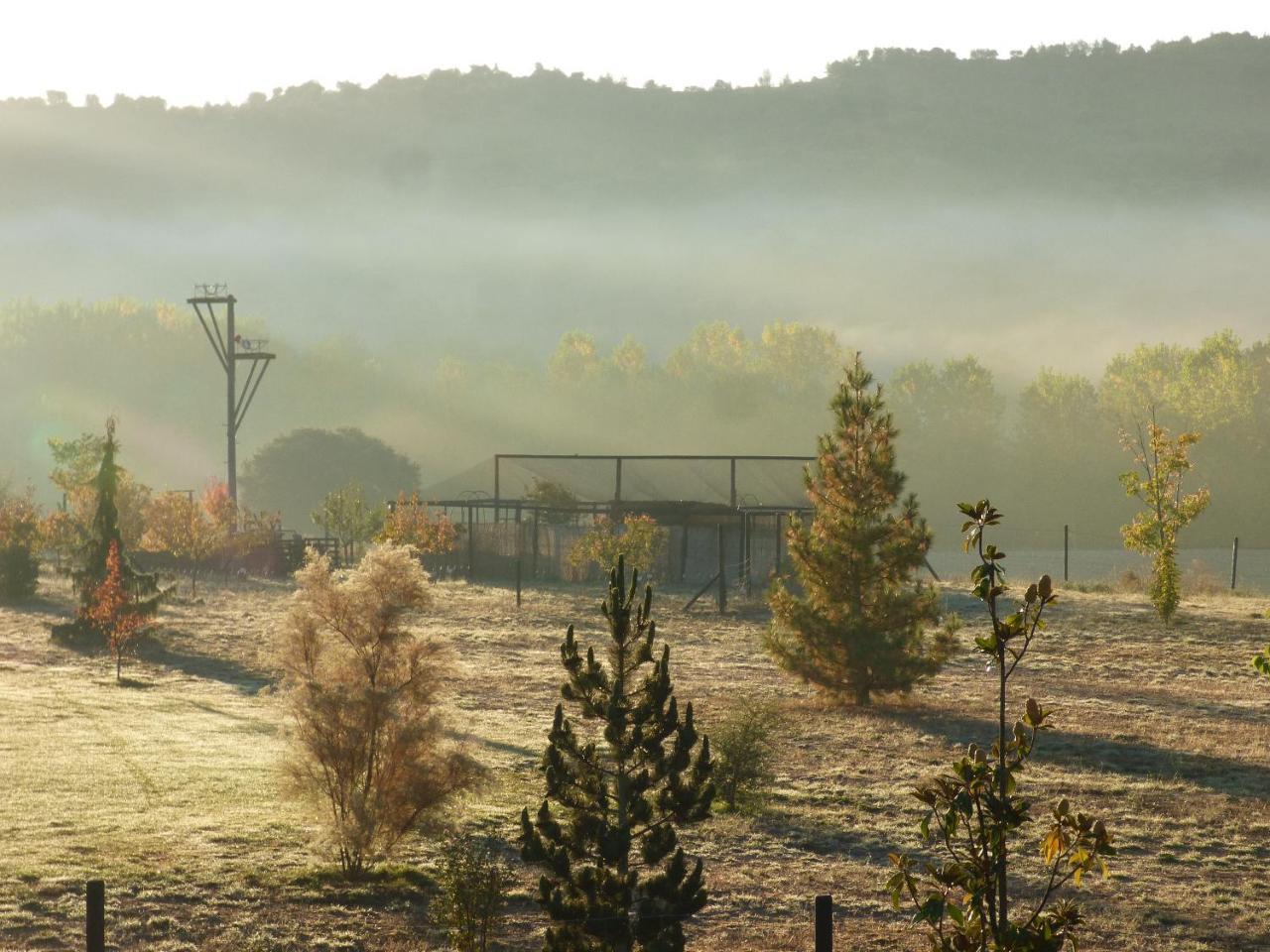 Hotel Albergue Bioclimatico Sabinares Del Arlanza Puentedura Εξωτερικό φωτογραφία